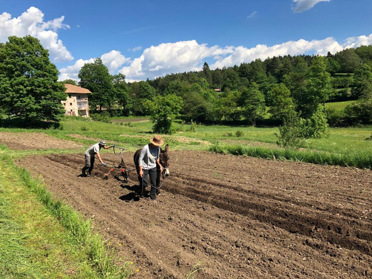 Bauernhof Hof Unternberg Apartman Magre all' Adige Kültér fotó